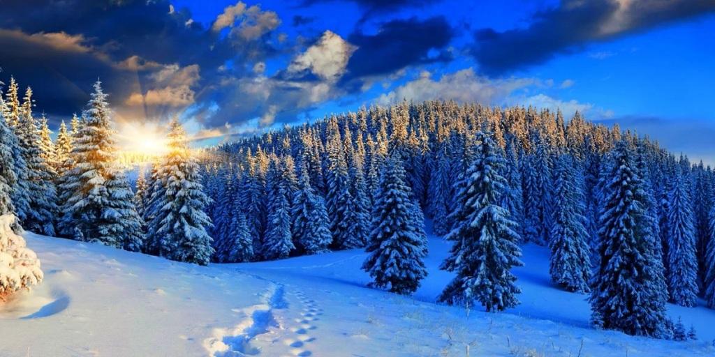 11.01.2023 Другая жизнь-2. Зимний глэмпинг. Наша туристическая жизнь!